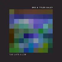 Drs — Too Late Ft Tyler Daley & Lsb — обложка